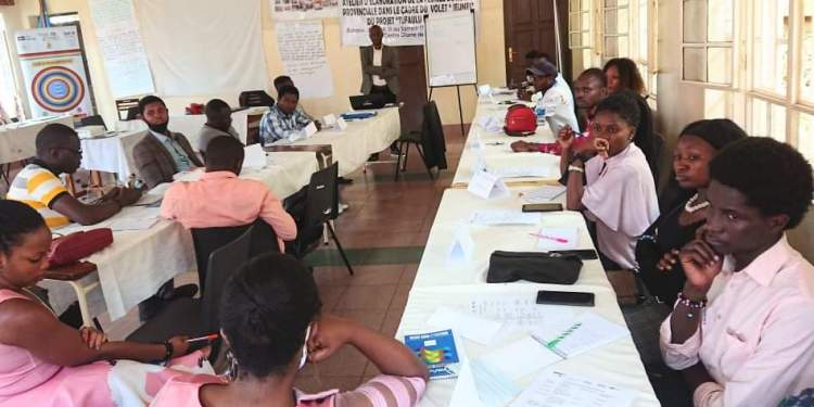 Bukavu/Tufaulu Pamoja: La Prunelle RDC asbl en atelier d’élaboration de la feuille de route provinciale